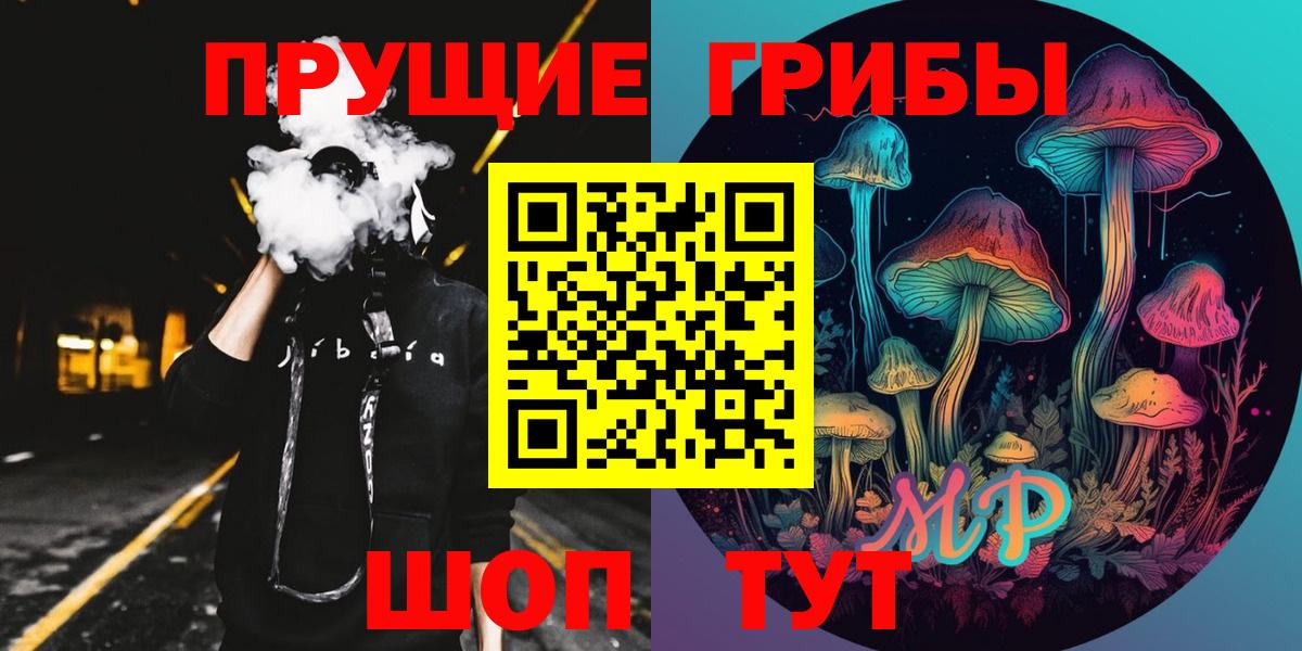 Галлюциногенные грибы Psilocybe Кингисепп